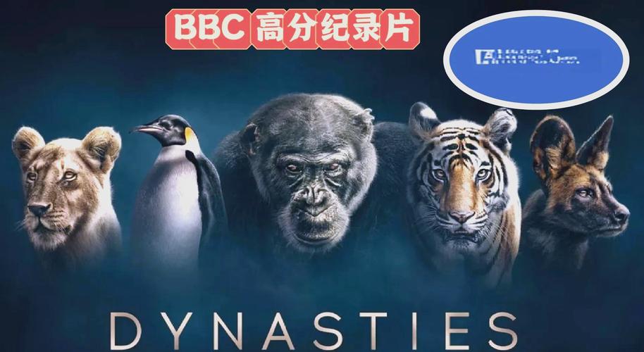 福利影院不能播的相关介绍