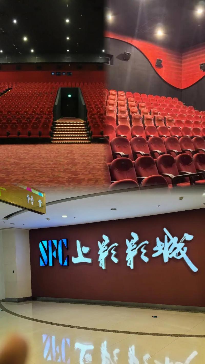 九九视频影院456影院的相关介绍